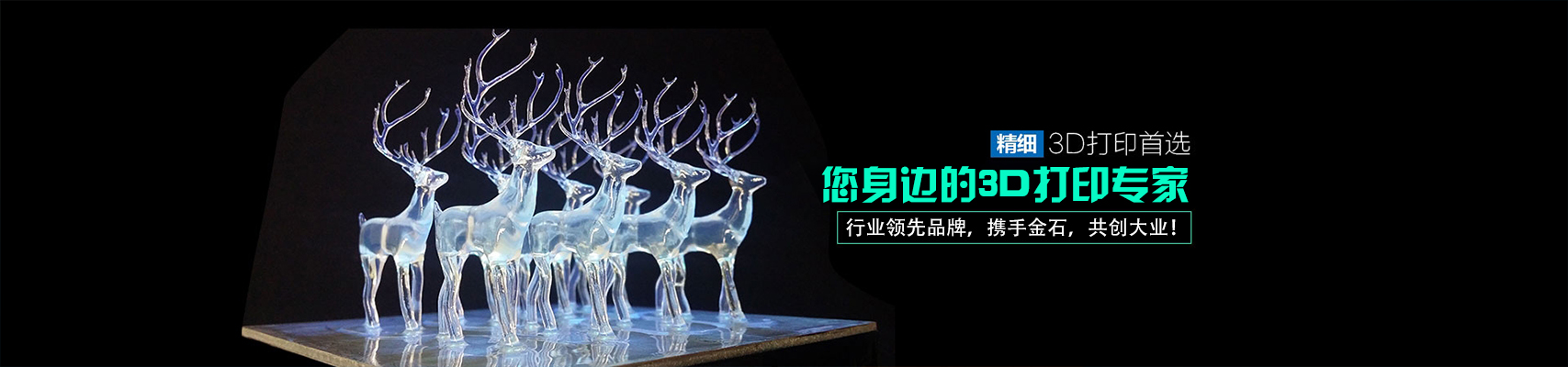 肇慶新聯(lián)昌金屬實業(yè)有限公司